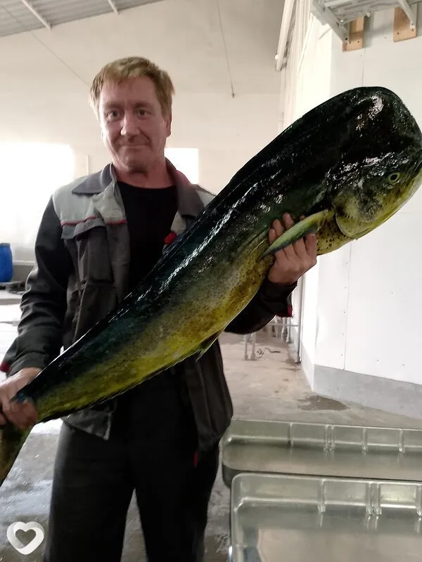 Виталий, 45, Новоалтайске — анкета №224475