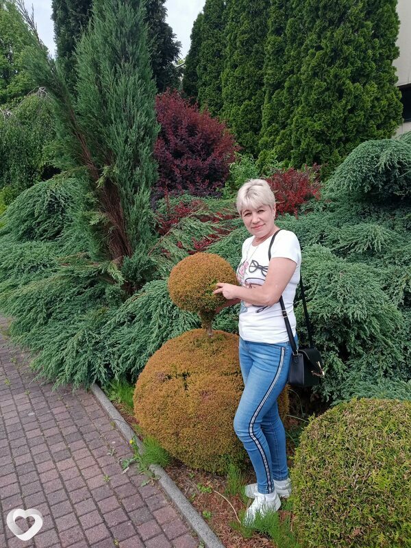 Лена, Сосновец