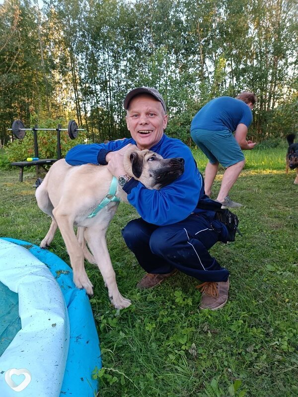 Александр, 53, Ногинске — анкета №228313