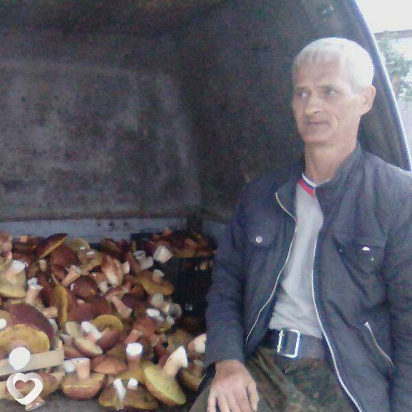 Землянин, Курган