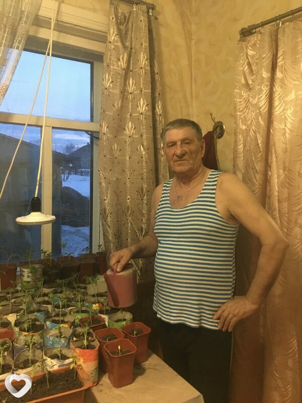 Владимир, Тайга