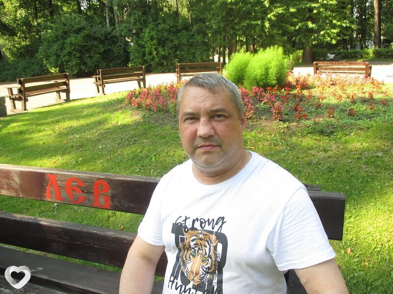 Роман, Полярные Зори