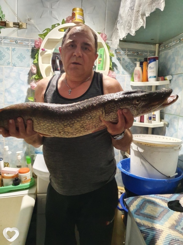 Михаил, 50, Экибастузе — анкета №230541