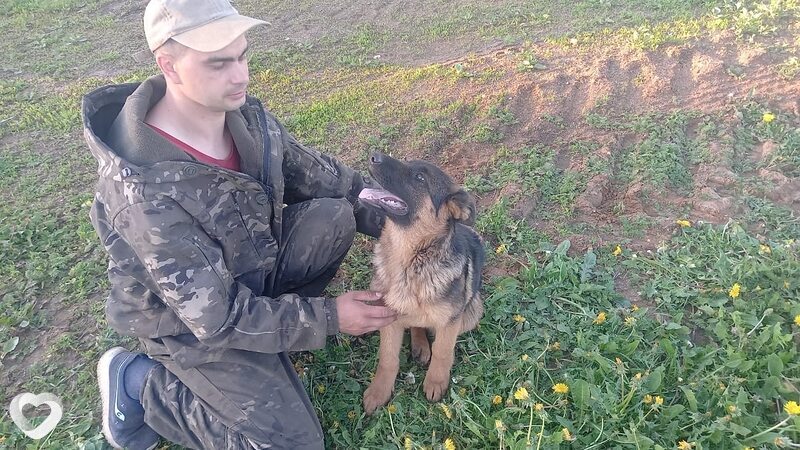 Денис, 40, Смоленске — анкета №235465