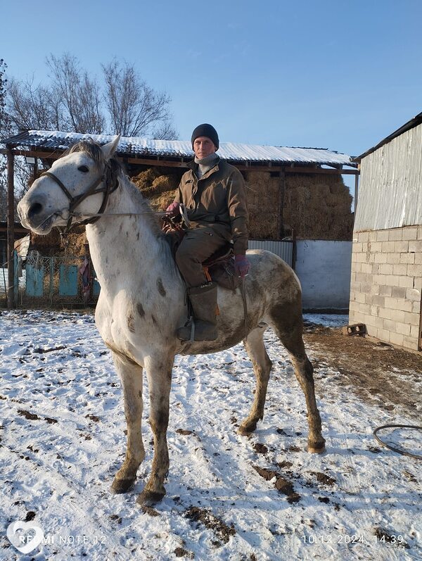Владимир, 28, Алматы — анкета №236069