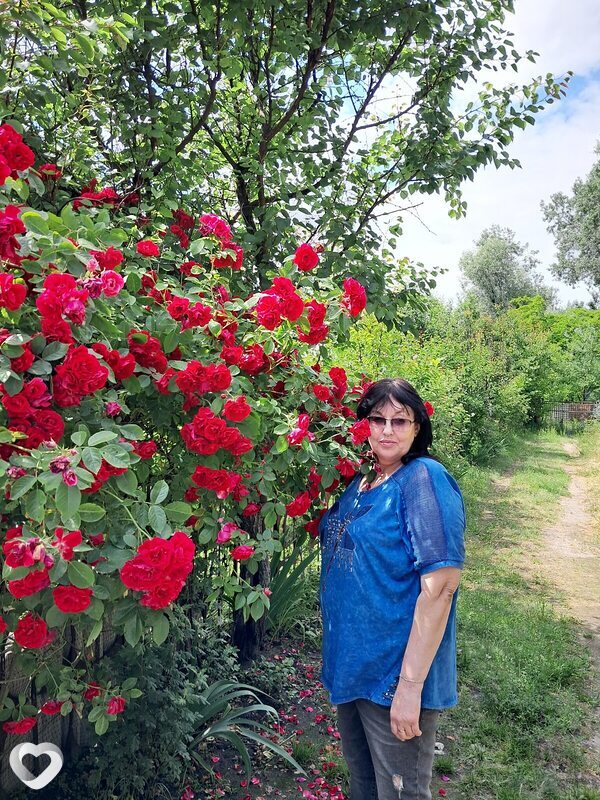 Татьяна, 62, Кременчуге — анкета №240742