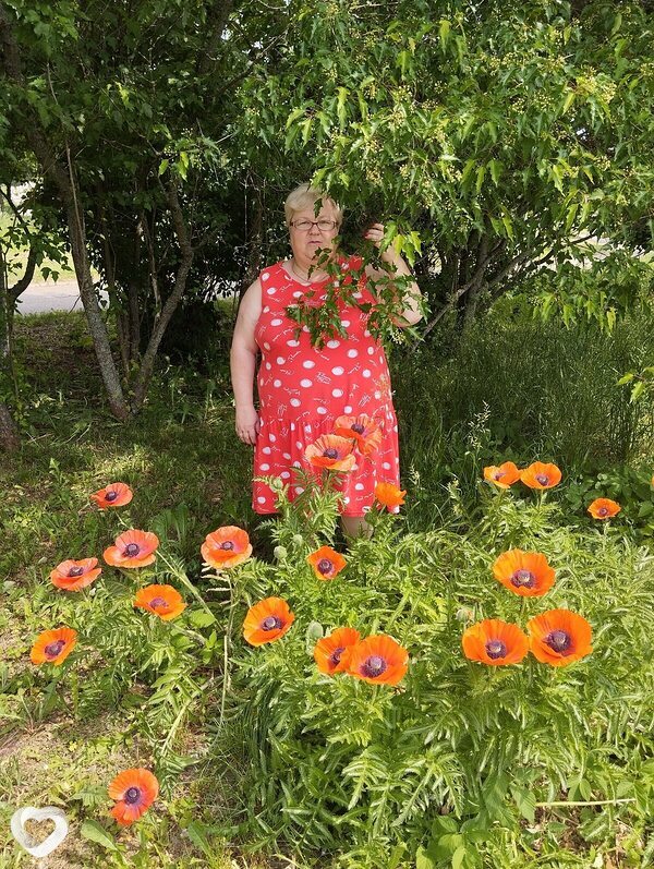 Светлана, 56, Рузе — анкета №241942