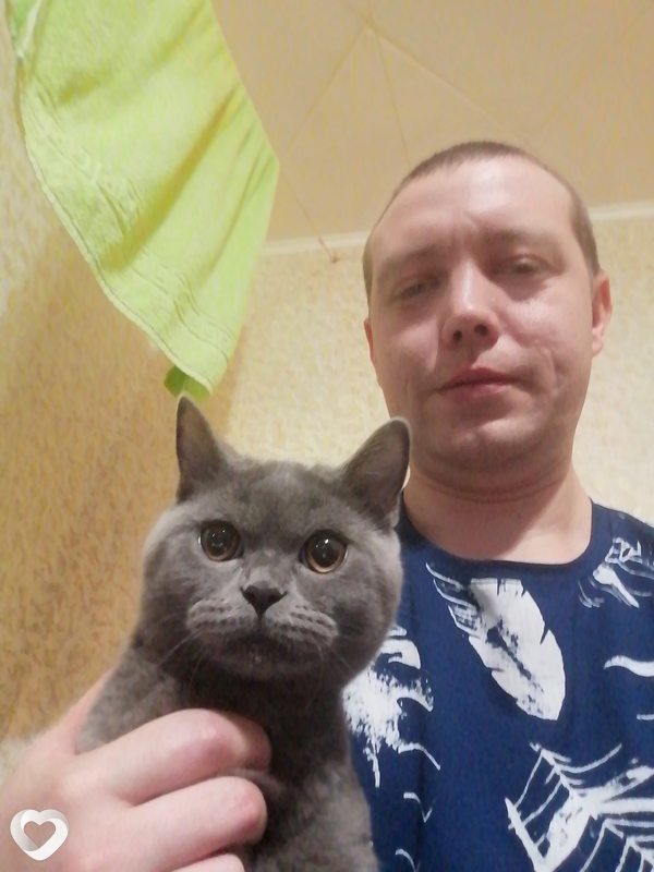 Сергей, 36, Кокшетау — анкета №244189