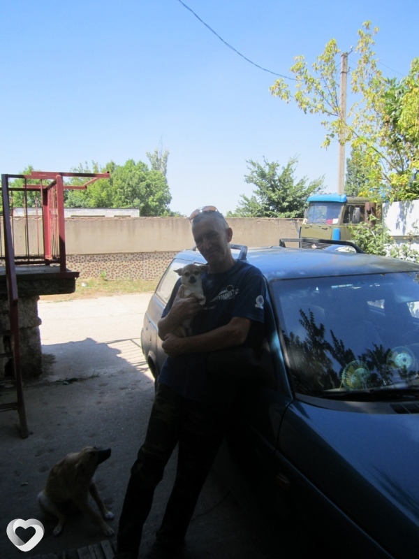 Владимир, 67, Крымске — анкета №245442
