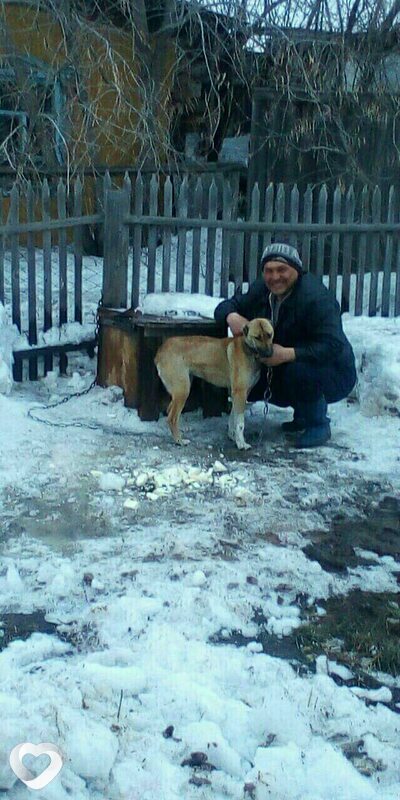 Владимир, 38, Павлодаре — анкета №245660