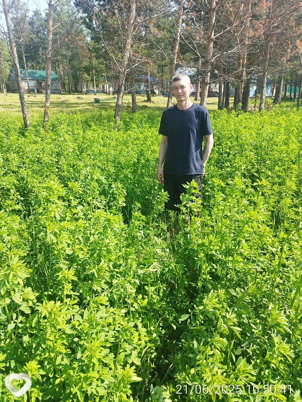 Димон, 41, Мелитополе — анкета №246919