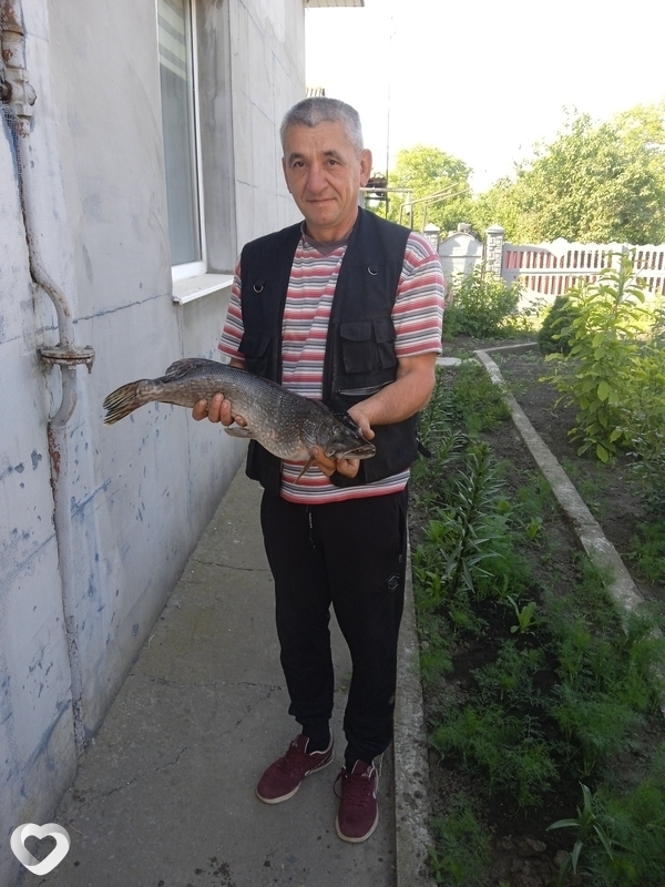 Микола, 51, Ивано-Франковске — анкета №248882