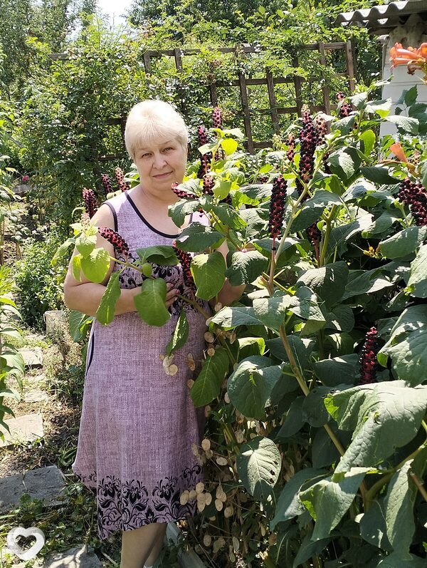 Ирина, 61, Камышине — анкета №249187