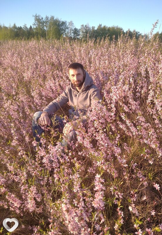 Александр, 41, Тамбове — анкета №254584