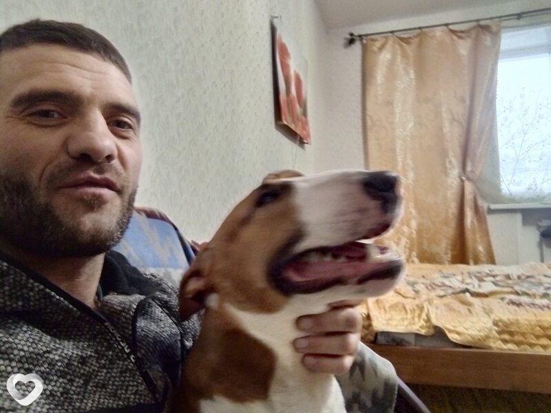 Дмитрий, 43, Москве — анкета №255906