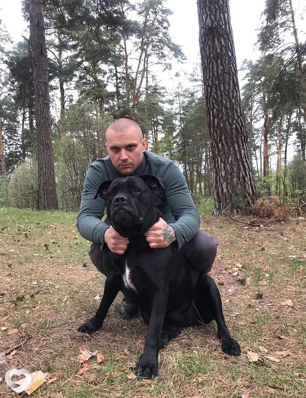 Владимир, Рязань