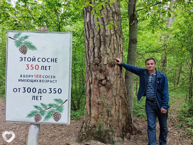 Николай, 36, Жезказгане — анкета №264844