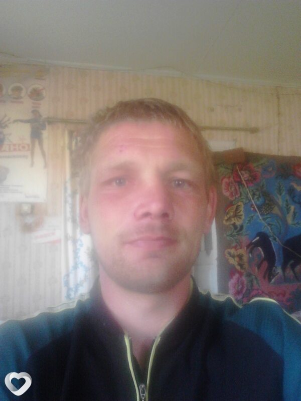 Владимир, Столин