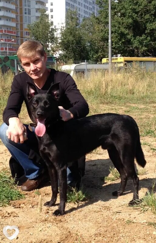 Сергей, 49, Саранске — анкета №268721