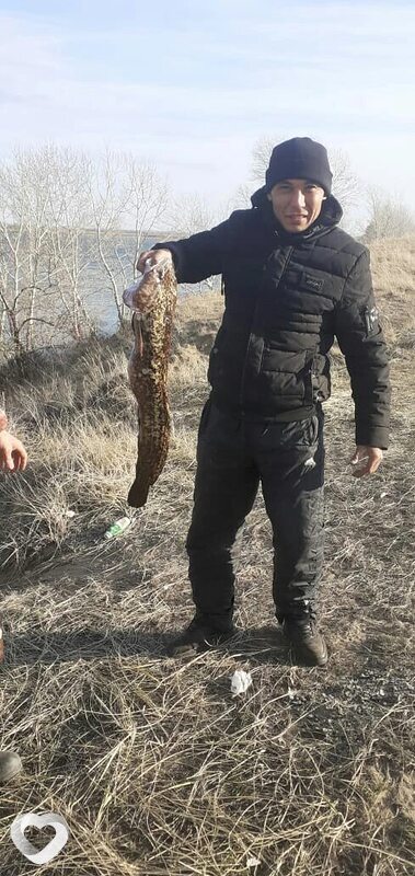 Даулет, 39, Семей — анкета №275939