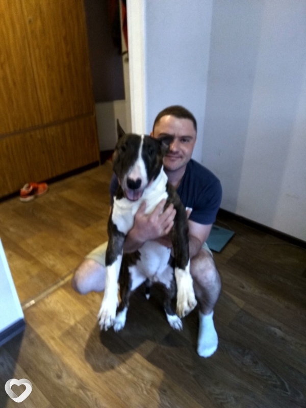 Дмитрий, 39, Гомеле — анкета №279769