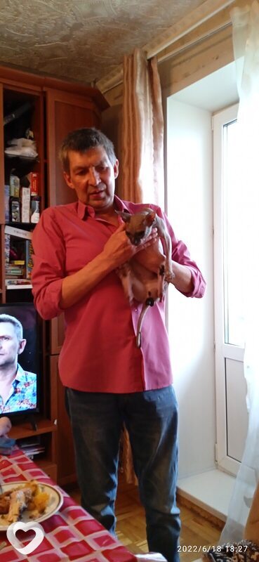 Владимир, 54, Полевское — анкета №280029