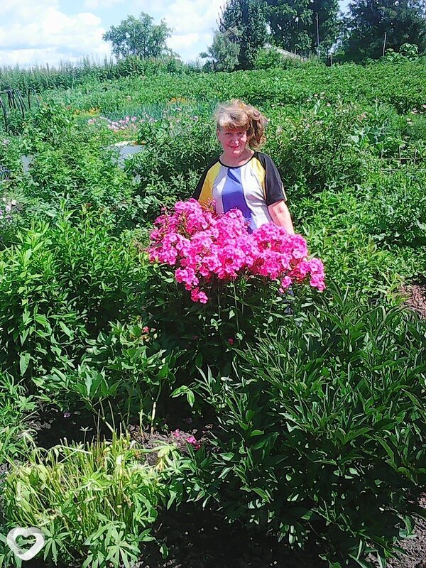 Елена, 67, Новосибирске — анкета №281850