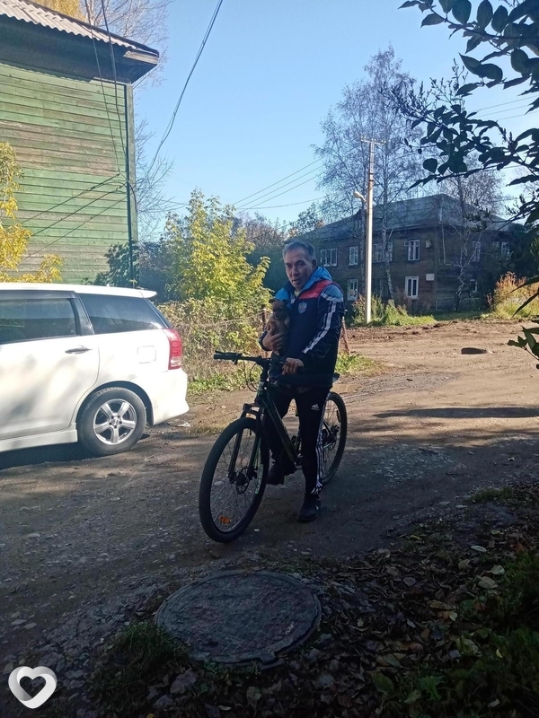 Владимир, 63, Иркутске — анкета №282085