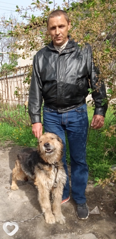 Евгений, 50, Алматы — анкета №283512