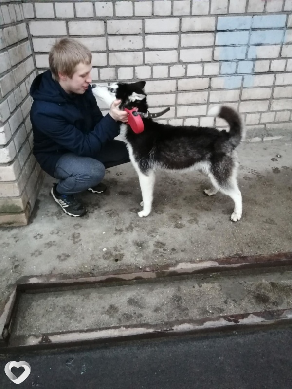 Сережа, 26, Москве — анкета №284745