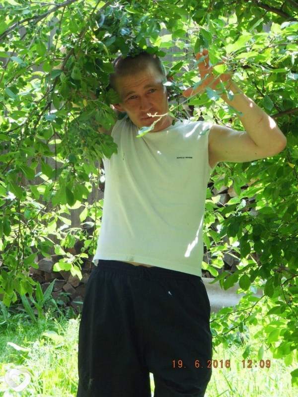 Вовик, Дебесы