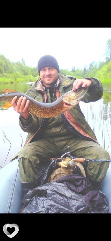 Rys, Бронницы
