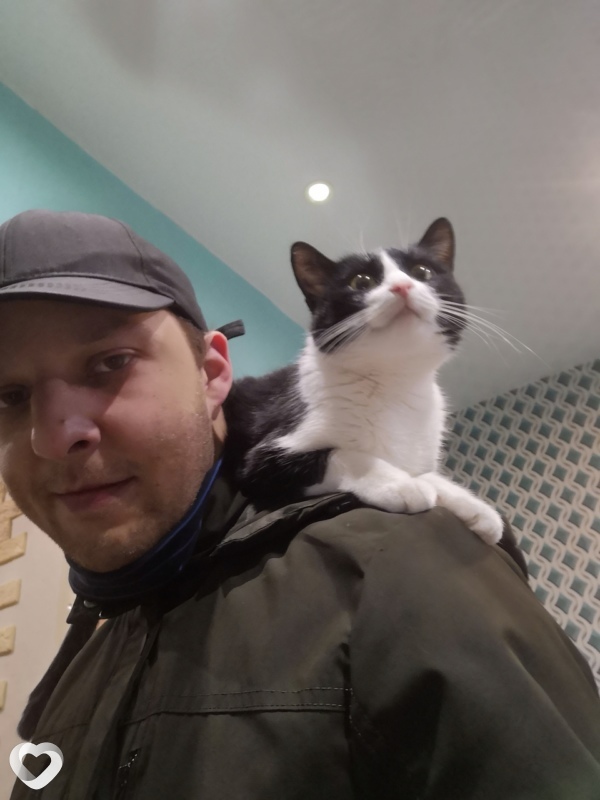 Серге, 31, Москве — анкета №288074