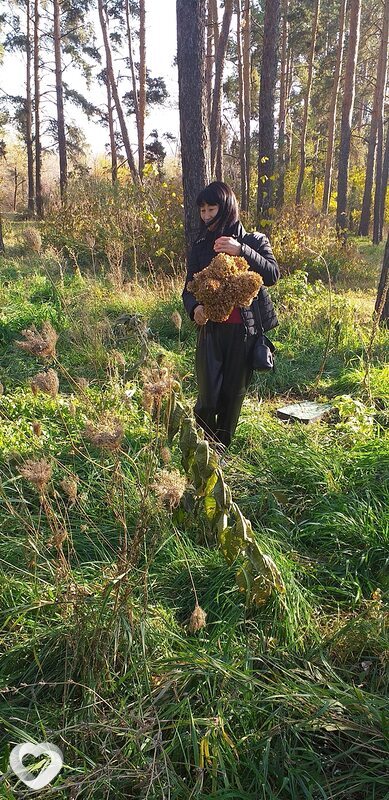 Фарида, 53, Алматы — анкета №288622