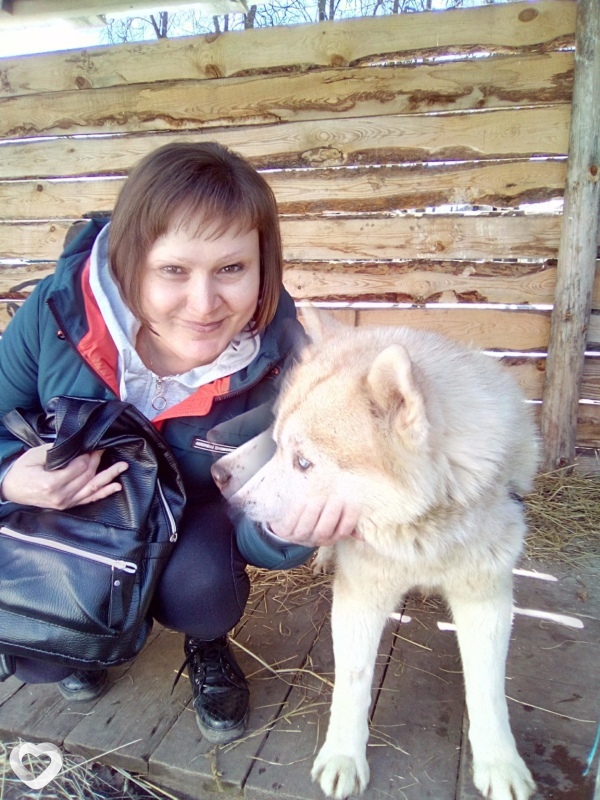 Светлана, 41, Ростове-на-Дону — анкета №290568