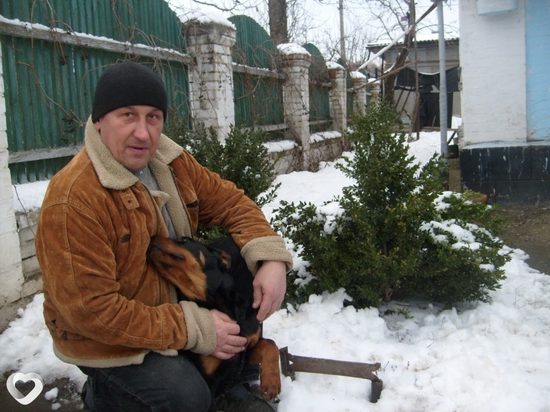 Александр, Умань
