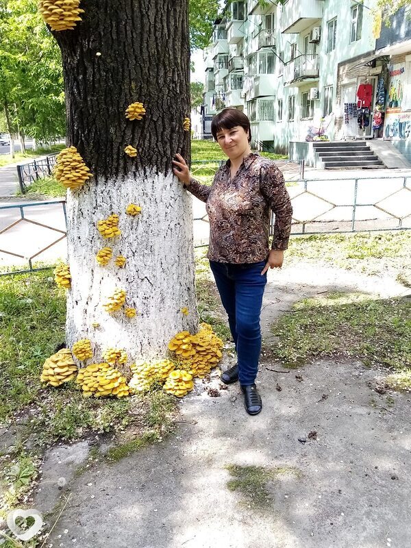 Виктория, 40, Биробиджане — анкета №291476