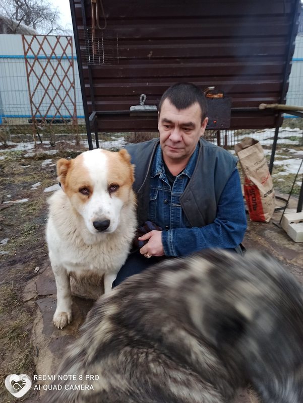 Александр, Полоцк