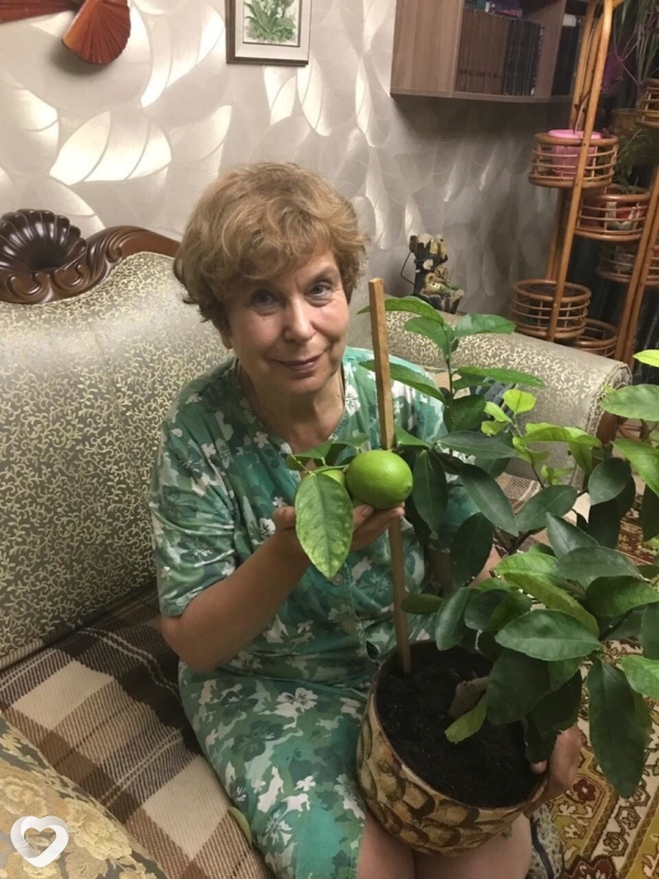 Valentina, Чита