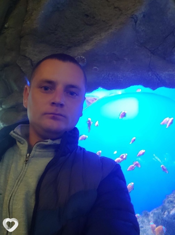Олександр, Луцк