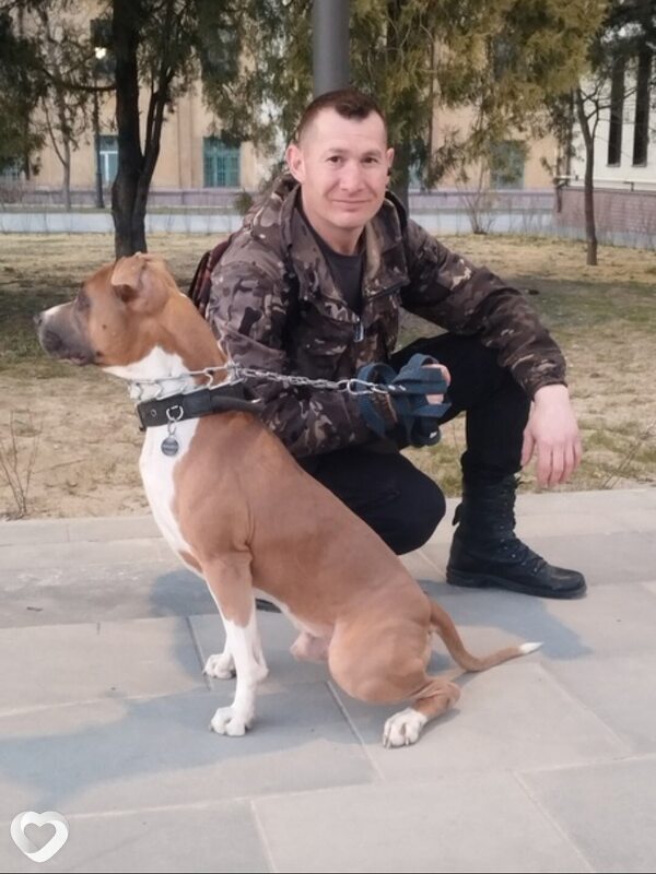 Иван, 40, Волгограде — анкета №297376