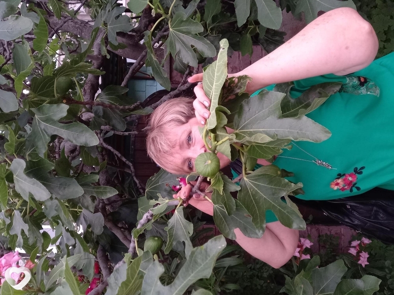 Елена, 56, Волгограде — анкета №299929