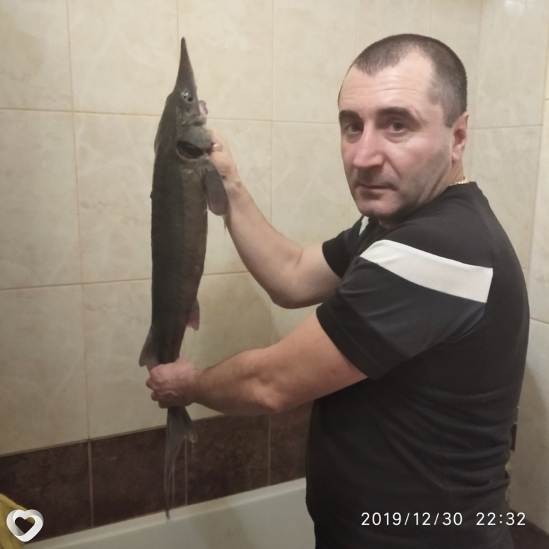 Дима, Овруч