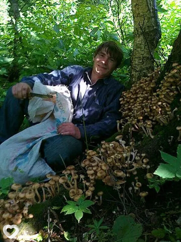 Николай, 51, Кемерове — анкета №302354