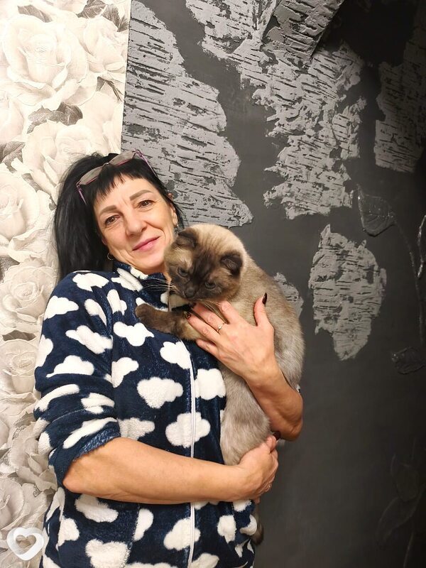 Елена, 56, Воронеже — анкета №302928