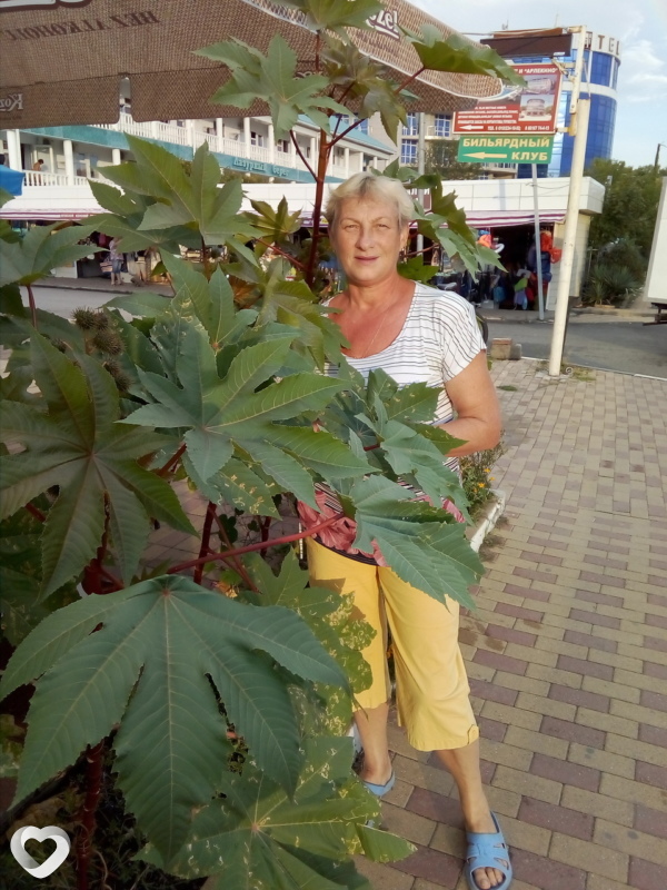 Нина, 67, Владимире — анкета №304153