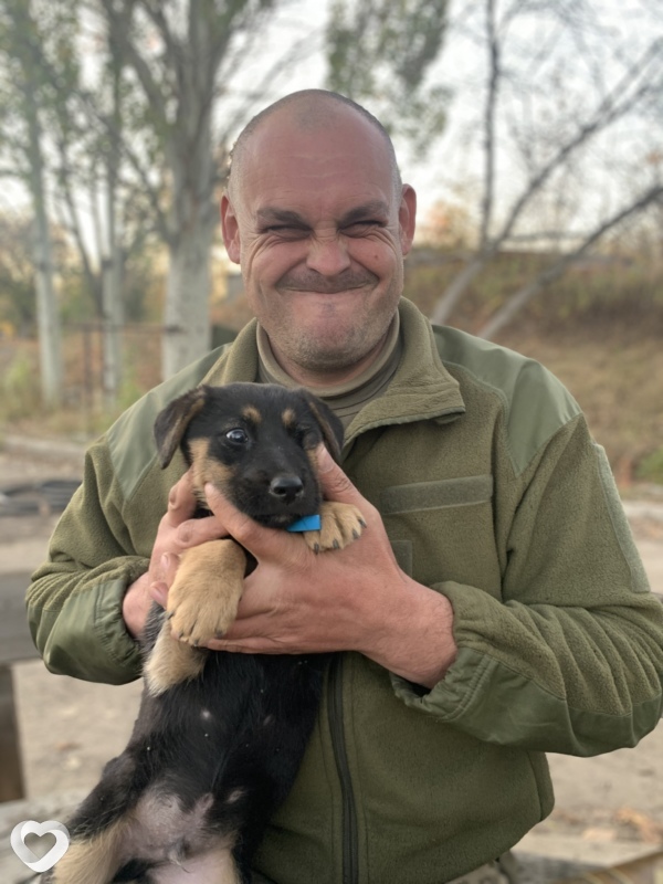Aleksandr, 35, Херсоне — анкета №304766
