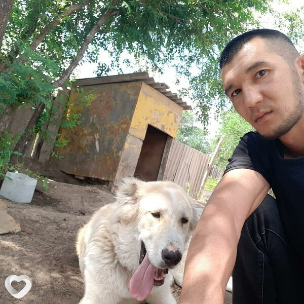 Ник, 36, Актюбинске — анкета №308473
