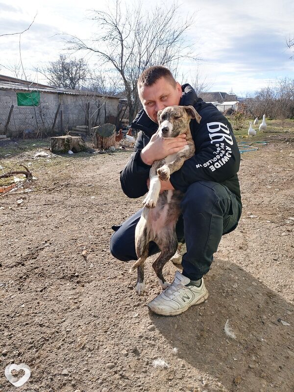 Сергей, Новопавловск