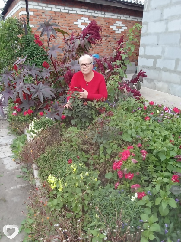 Светлана, 62, Омске — анкета №310637